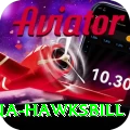 antigua hawksbill Apps (Tools & Injectors) Premium v4.0.2