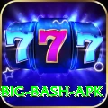 bbl big bash apk Elite Pro v2.3.7