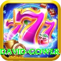 david gower Deluxe v5.2.7