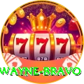 dwayne bravo Pro1 v3.8.2