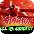 fastest ball in cricket Apps (Tools & Injectors) VIP v1.3.7