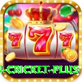 fastest ball in cricket - VIP Gold