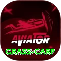 grass carp Max Pro v5.3.6