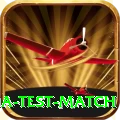 india test match Premium Edition v5.3.6