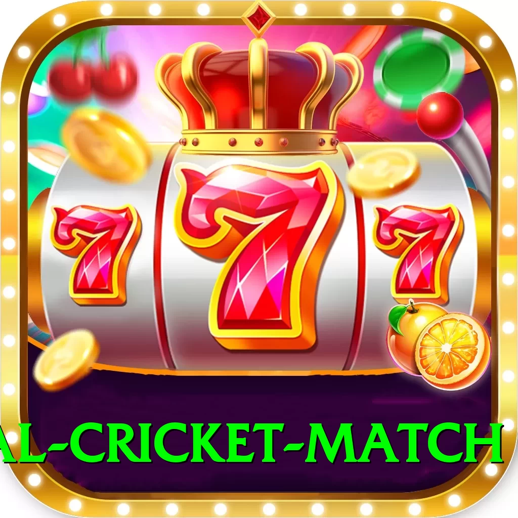international cricket match Deluxe v2.6.0 - 2
