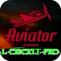 international cricket VIP v4.8.2