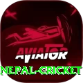 nepal cricket Ultimate v4.8.5