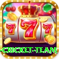 netherlands cricket team Deluxe Pro v4.2.0