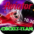 pakistan women cricket team Apps (Tools & Injectors) Pro v1.8.3