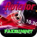 pakrummy Apps (Tools & Injectors) VIP v1.4.5
