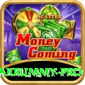pakrummy Gaming King v4.8.2