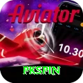 pkspin VIP vv3.5.1