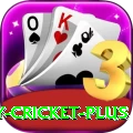 play cricket Elite 2024