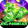 responsible gambling pakistan Apps (Tools & Injectors) Master v2.5.2