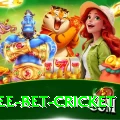 risk free bet cricket Plus Edition v3.1.0