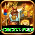 sa cricket Pro v2.2.2