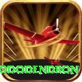 simbhanjyang rhododendron Games (Casino & Earning) Plus v5.5.3