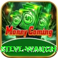 steve waugh Premium v3.6.5