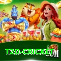 t20 cricket Pro1 v2.0.9