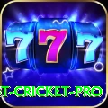 test cricket Gaming Max v5.9.9
