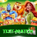 test match VIP v5.1.9