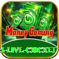 watch live cricket Max v1.9.8