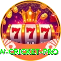 willow cricket - King v3.7.7