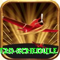 world cup t20 schedule Pro v5.3.7